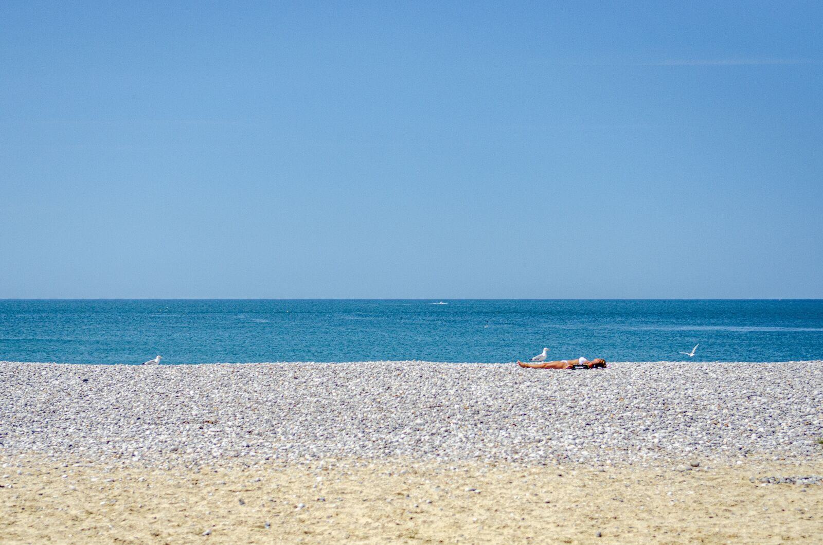 Nikon D7000 sample photo. Roller, horizon, beach photography
