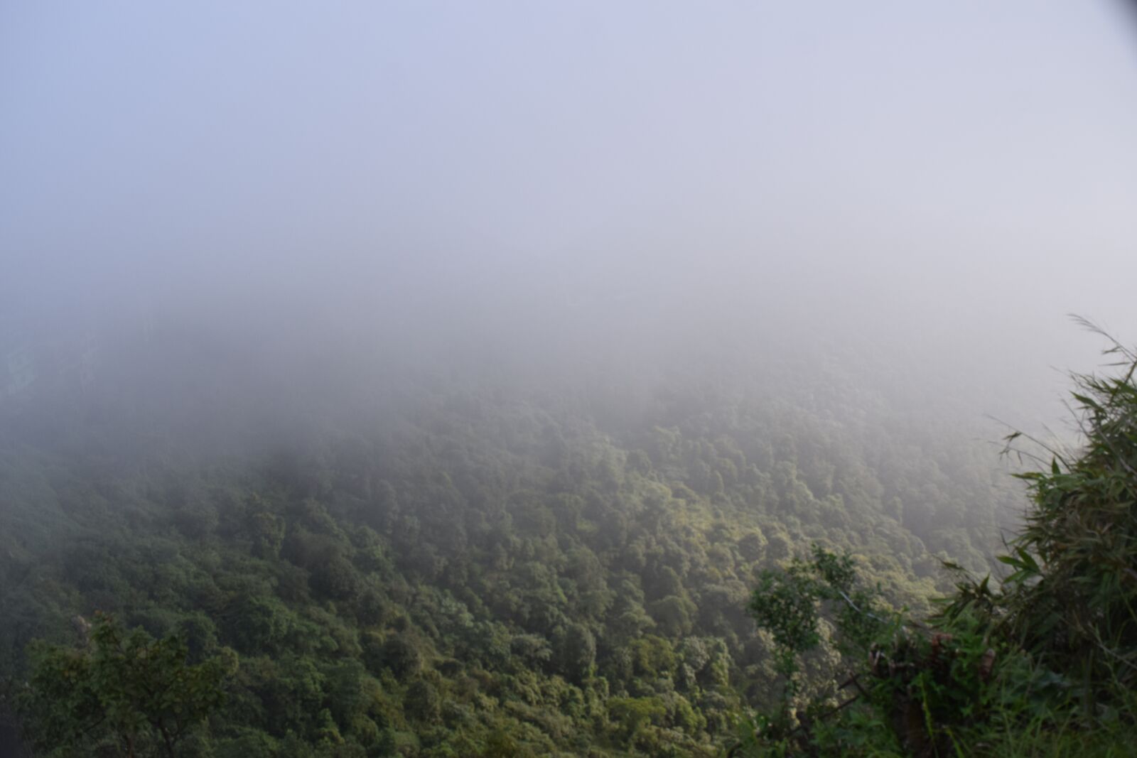 Nikon D5300 sample photo. Tour, nature, photography photography