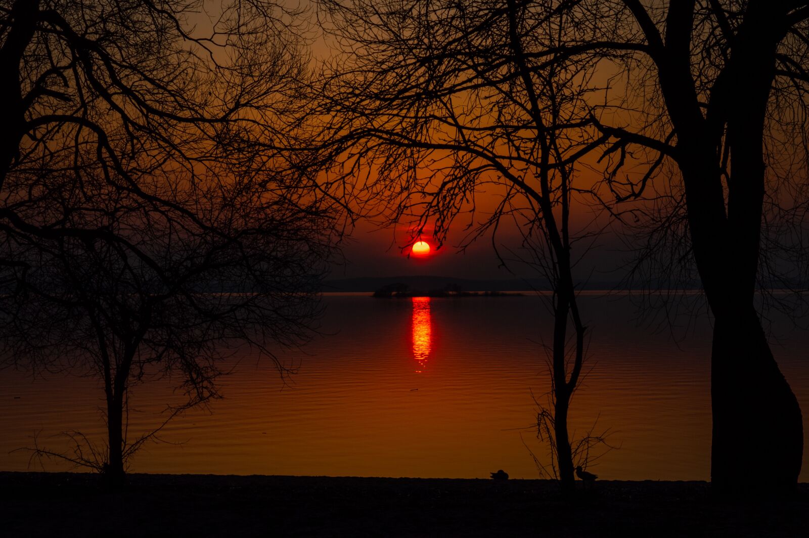 Nikon D3200 sample photo. Reflection, sun, rays photography
