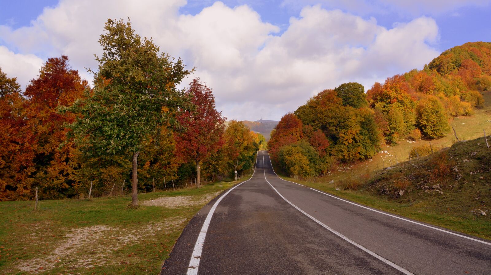 Nikon D7100 sample photo. Road, trees, autumn photography
