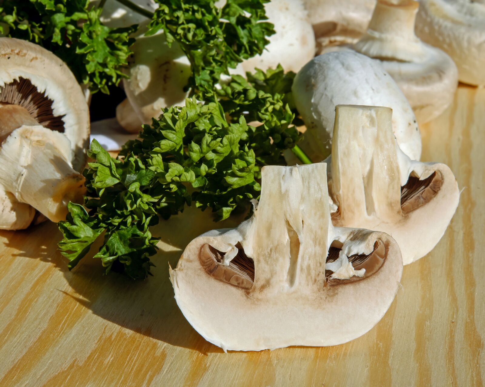 Fujifilm X-T10 + Fujifilm XF 35mm F1.4 R sample photo. Mushrooms, white mushroom, edible photography