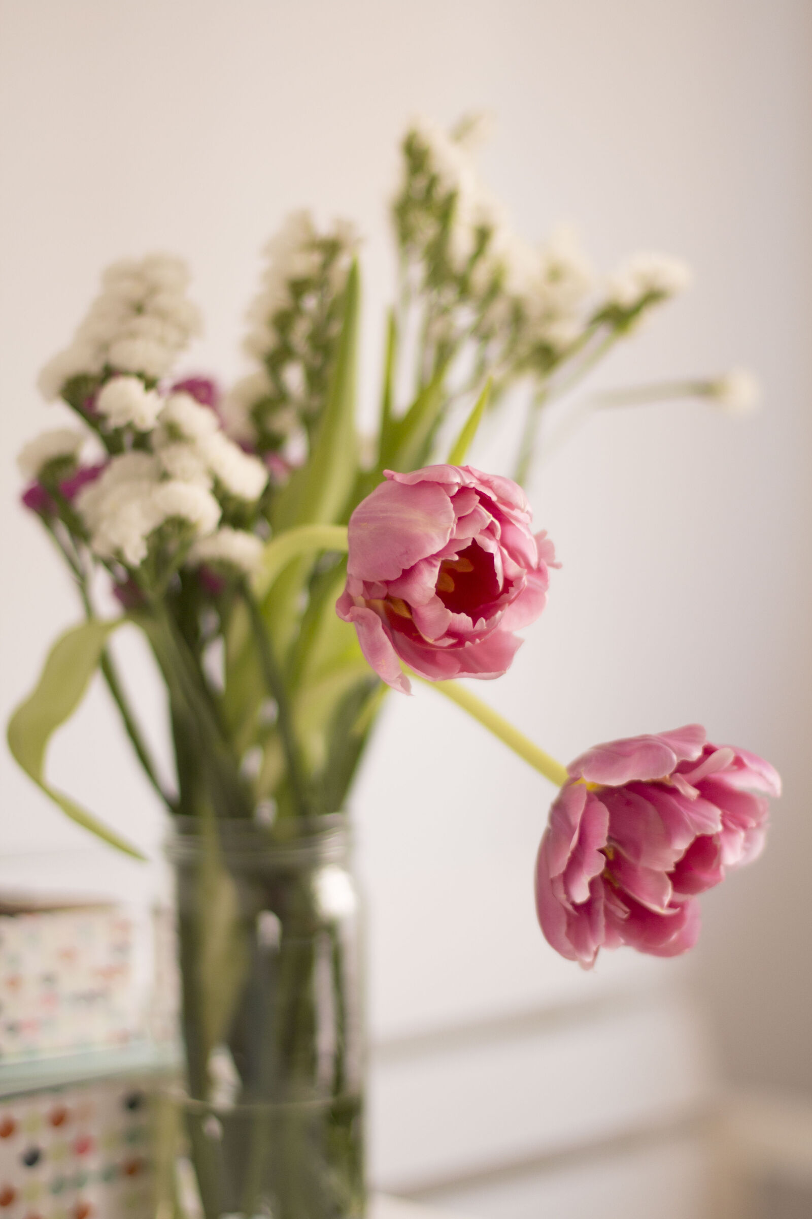 Canon EOS 700D (EOS Rebel T5i / EOS Kiss X7i) + Canon EF 50mm F1.4 USM sample photo. Pink, tulips photography