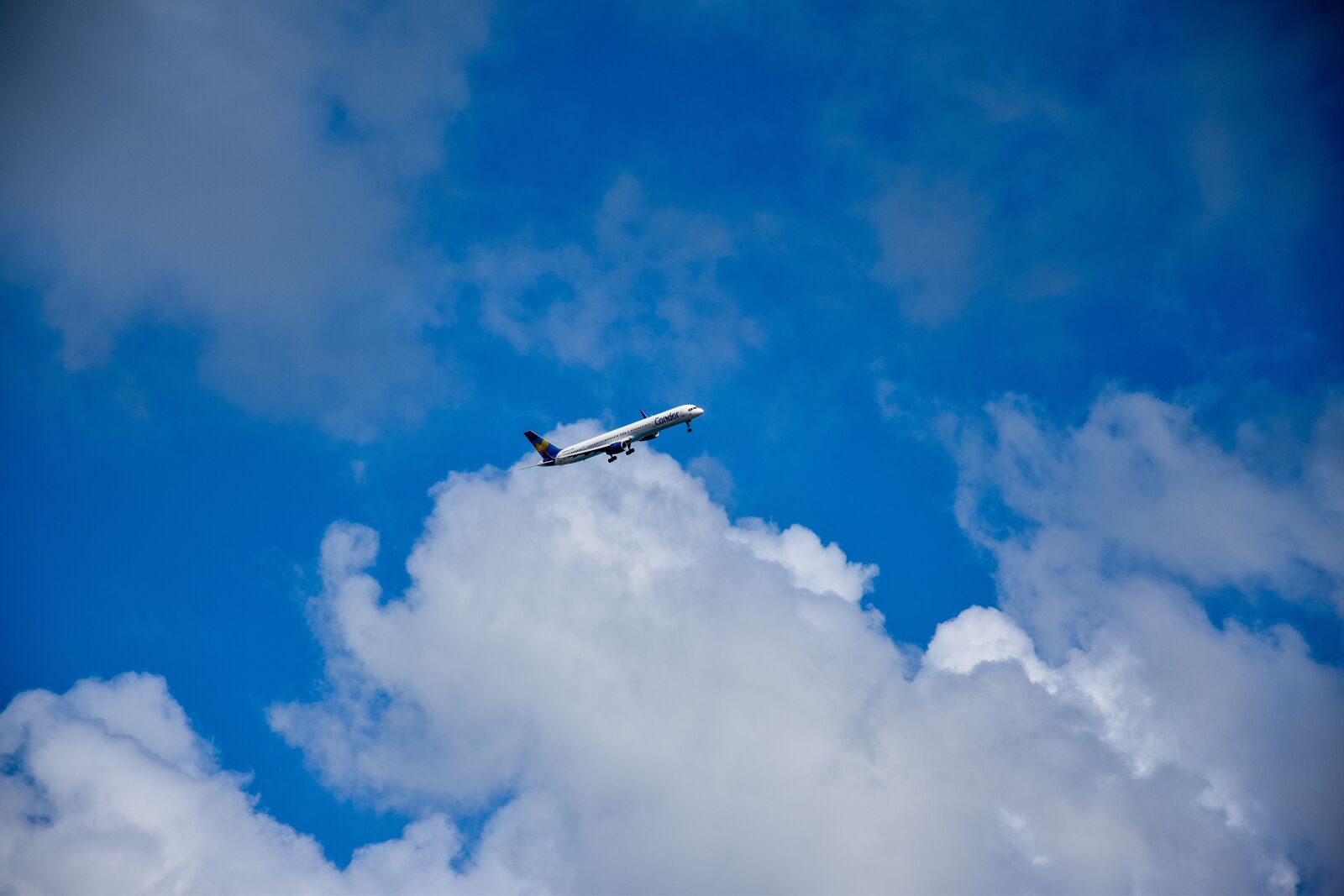 Nikon D3300 sample photo. Airplane, blue sky, clouds photography