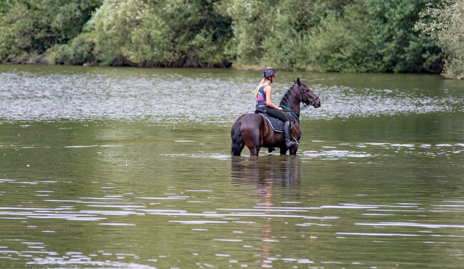 Canon EOS 6D Mark II sample photo. Horse, water, rider photography