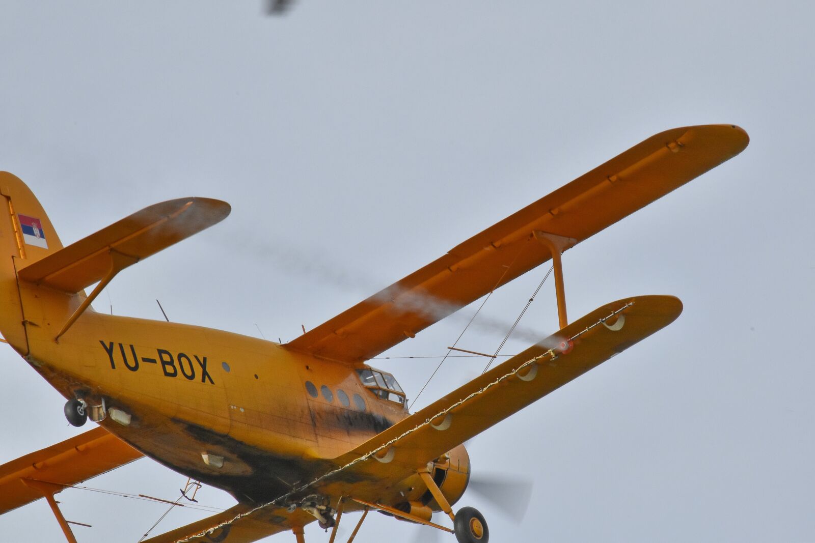 Nikon D5500 sample photo. Biplane, plane, propeller, aircraft photography