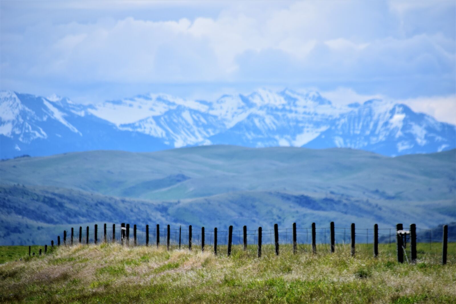 Nikon D5500 sample photo. Daylight, fence, grass, hill photography