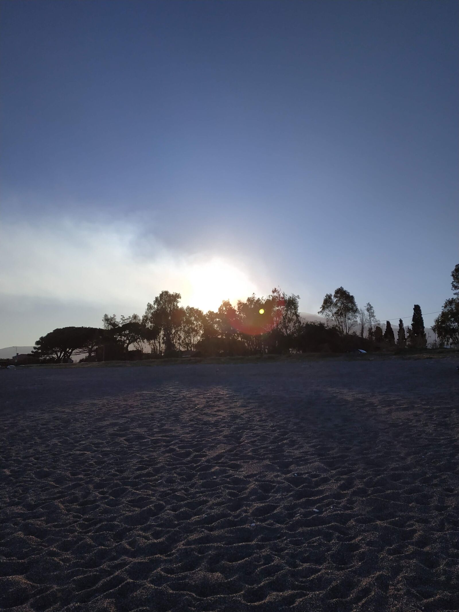 Xiaomi Redmi Note 5 sample photo. Sicily, tree, nature photography