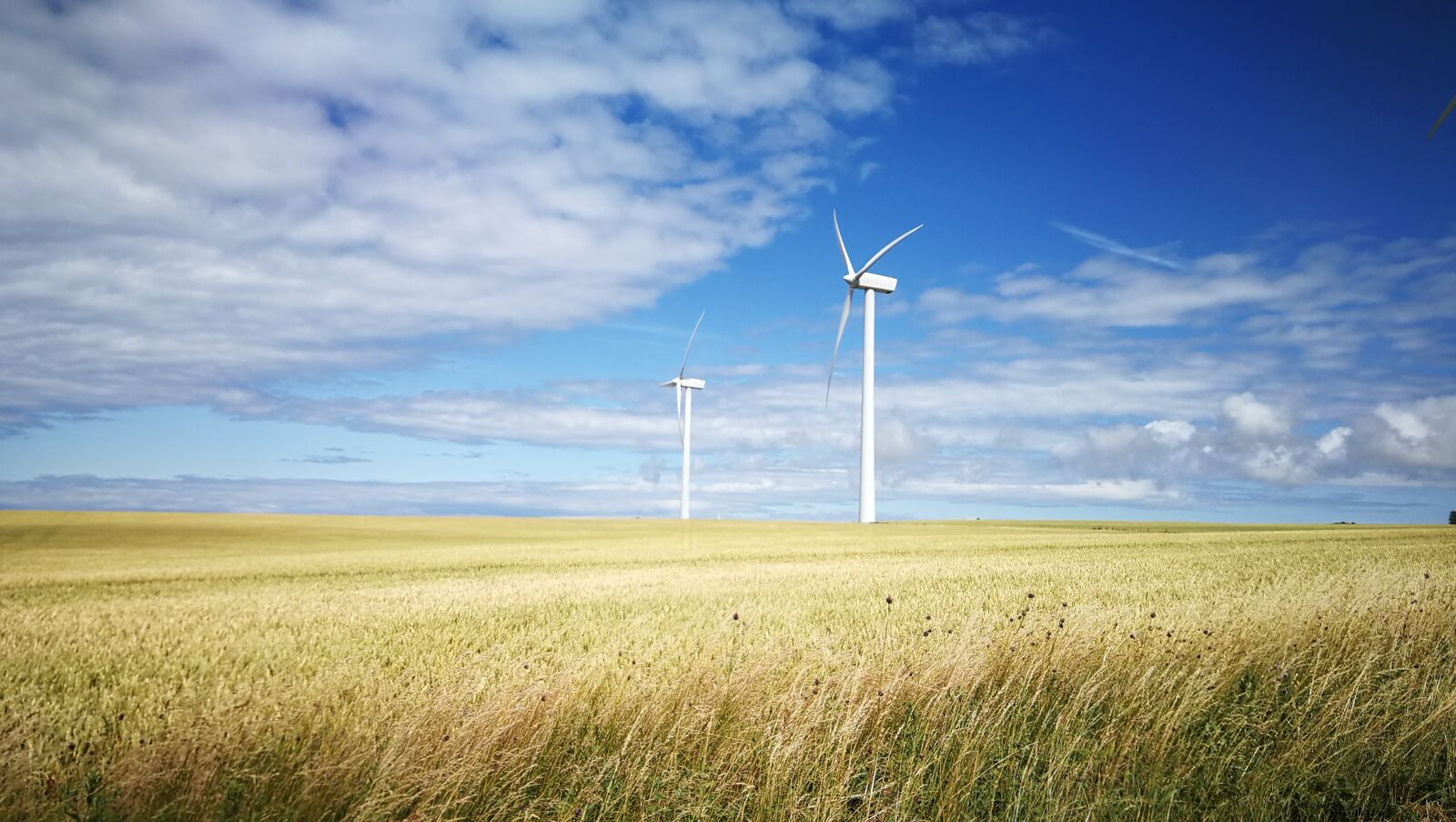 HUAWEI P10 sample photo. Windmill, field, sky photography
