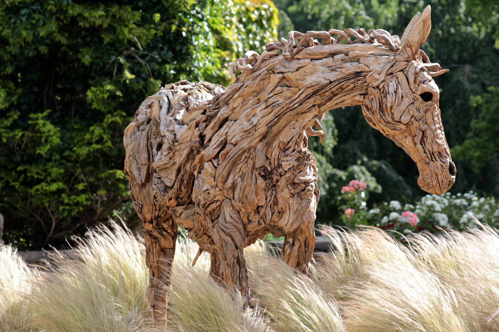 Canon EOS 7D Mark II sample photo. Wood art, oakley court photography