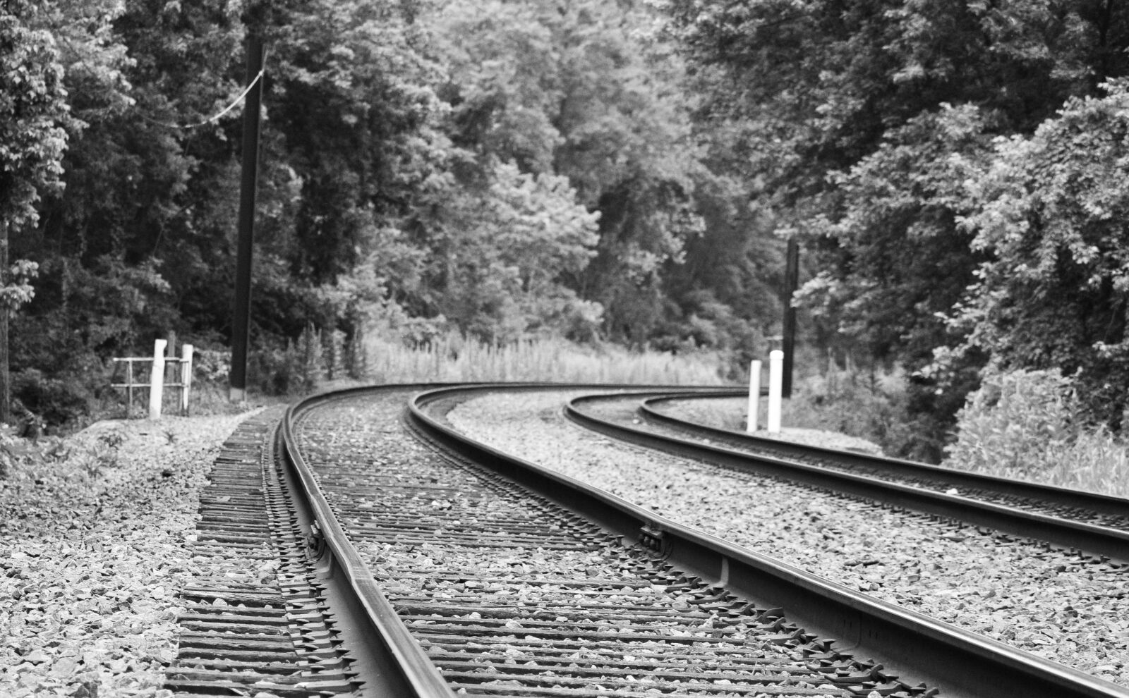 Nikon D5600 sample photo. Train, railway, travel photography