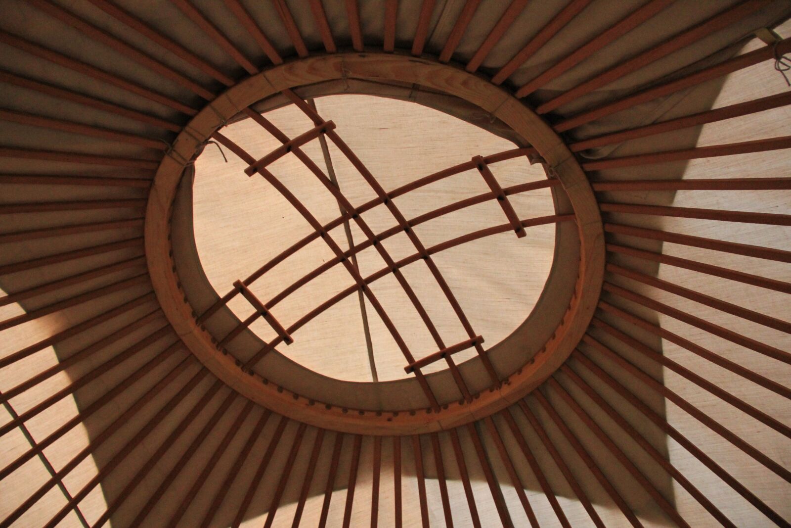 Canon EOS 550D (EOS Rebel T2i / EOS Kiss X4) sample photo. Four, mood, geometric photography