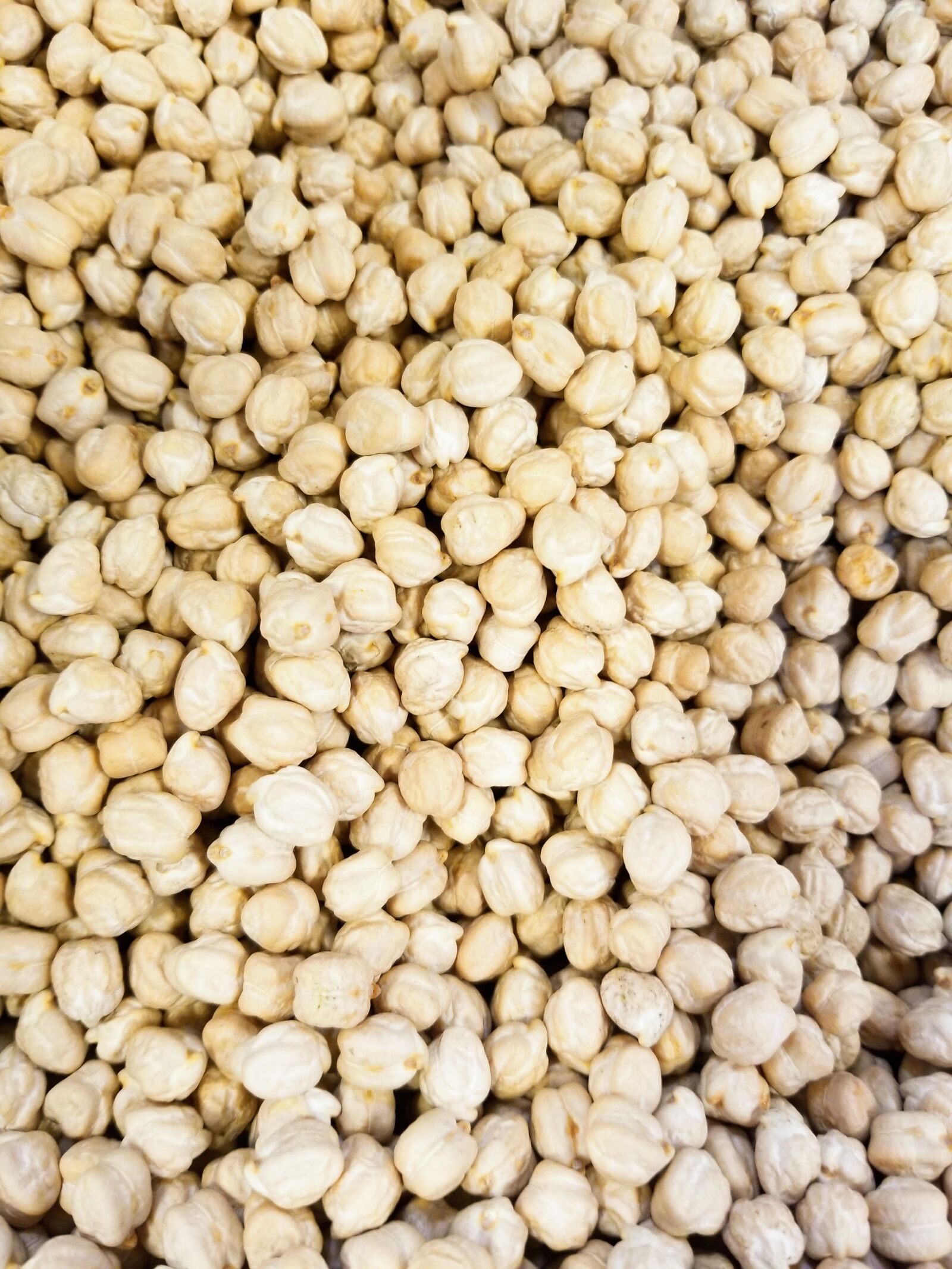 Samsung Galaxy S8 sample photo. Chickpea, garbanzo, bean photography