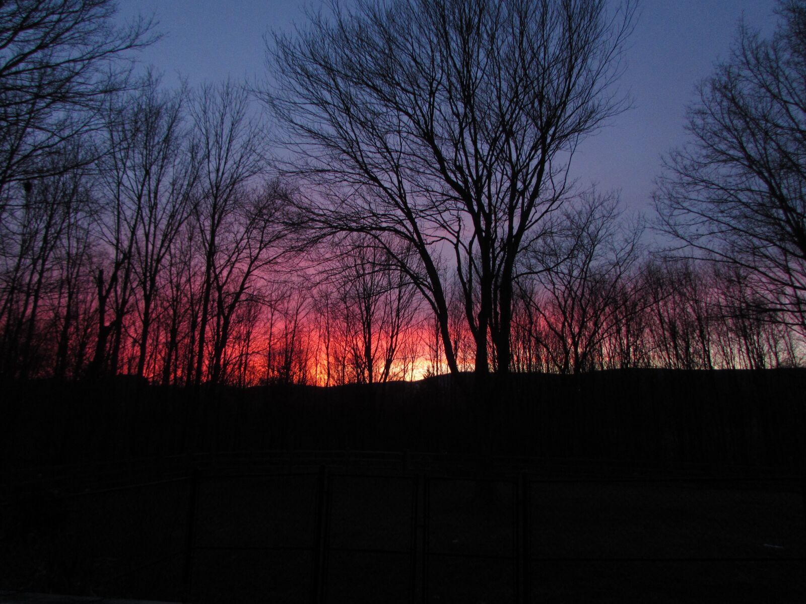Canon PowerShot SX510 HS sample photo. Sunset, trees, night photography