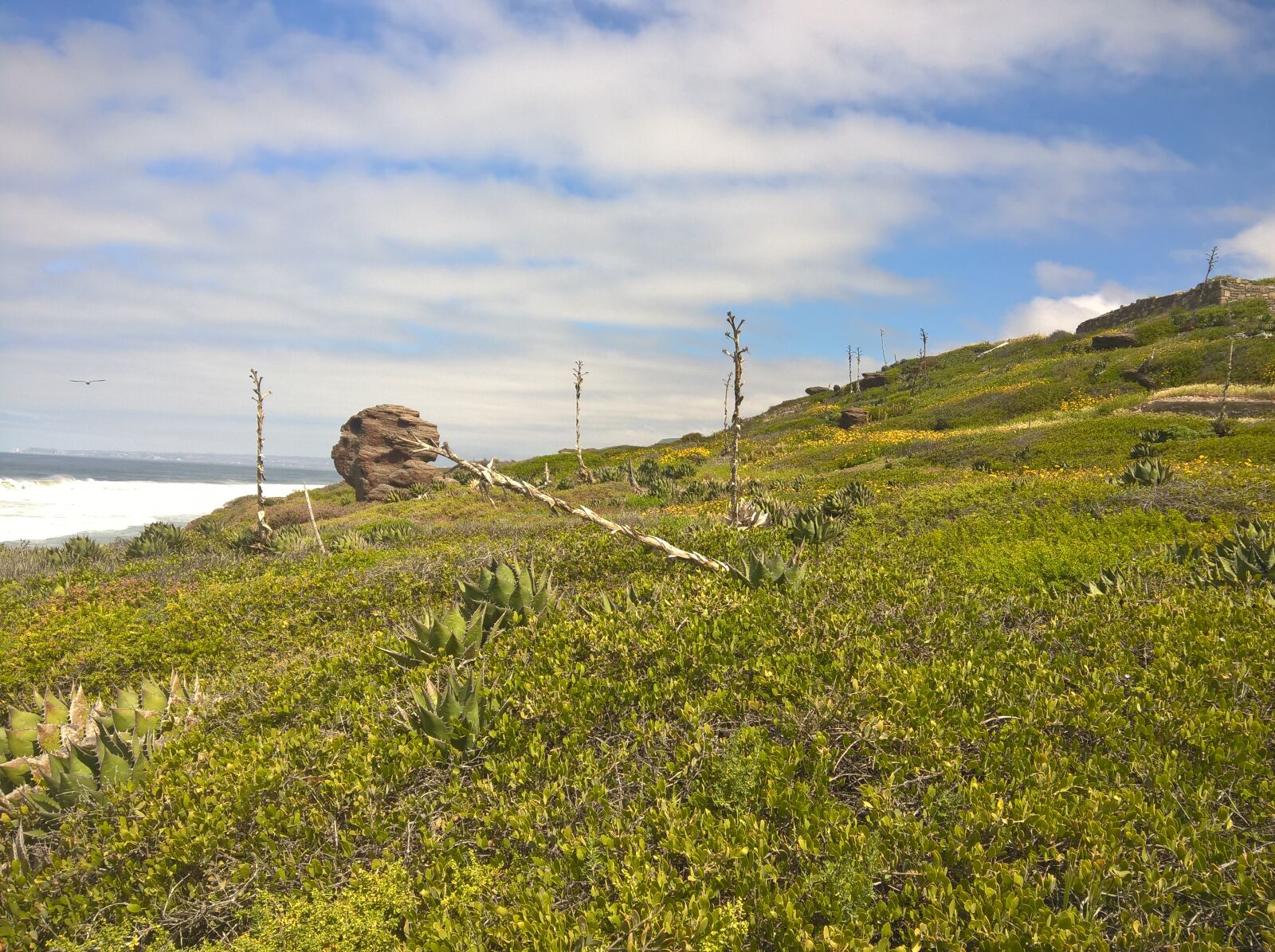 Microsoft Lumia 640 XL sample photo. Landscape photography
