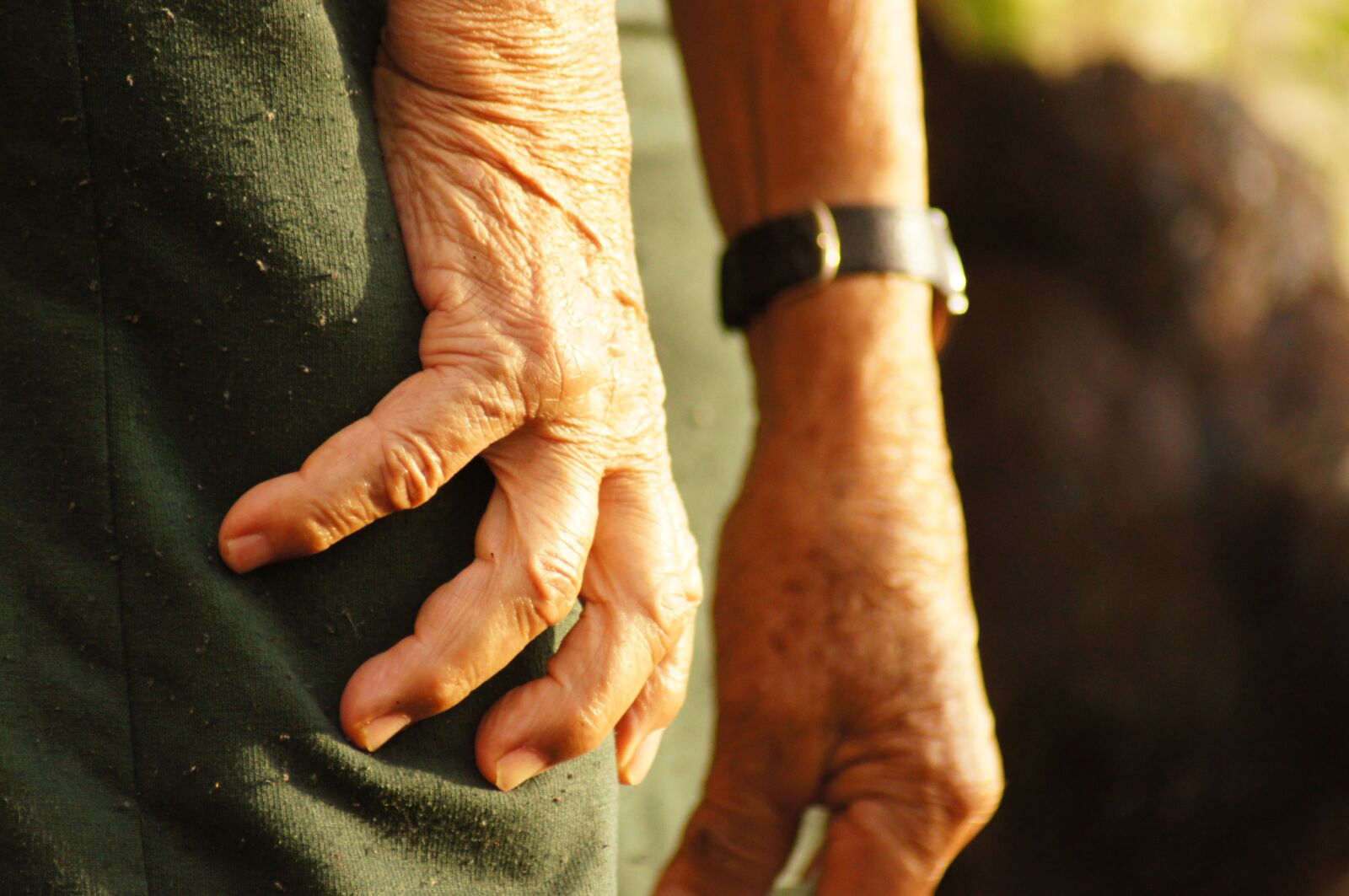 Sony SLT-A55 (SLT-A55V) sample photo. The, hands, of the photography