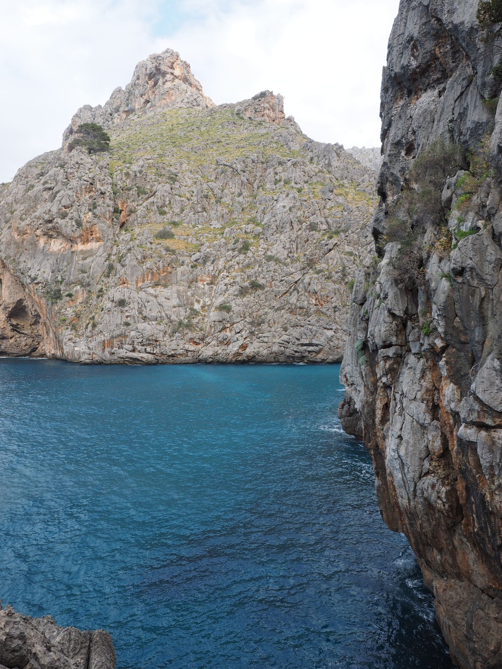 Olympus OM-D E-M1 + Olympus M.Zuiko Digital ED 12-40mm F2.8 Pro sample photo. Bay, sa calobra, bay photography