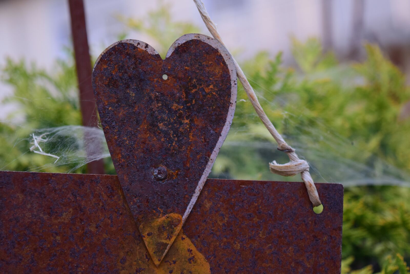 Nikon D3300 sample photo. Heart, love, old love photography