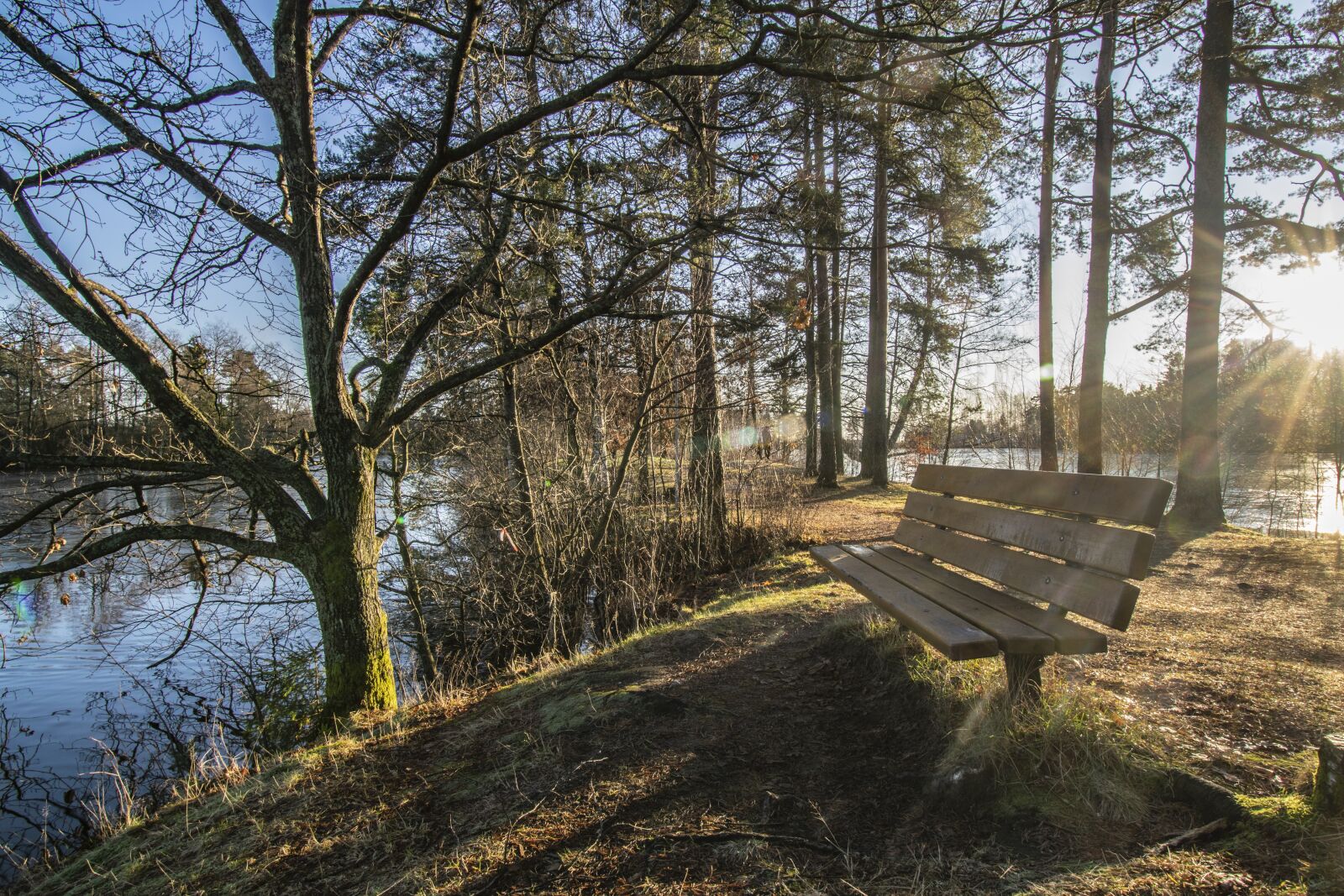 Nikon D5300 sample photo. Norway, loneliness, lake photography