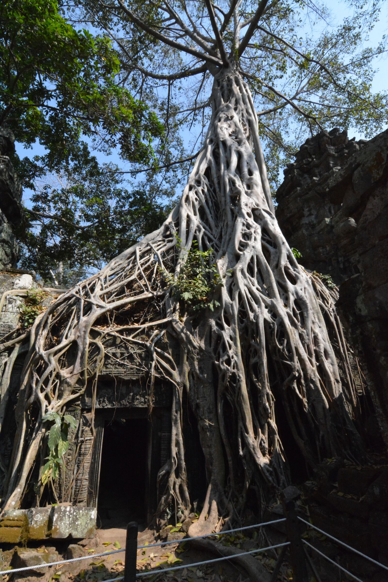 Nikon D7100 sample photo