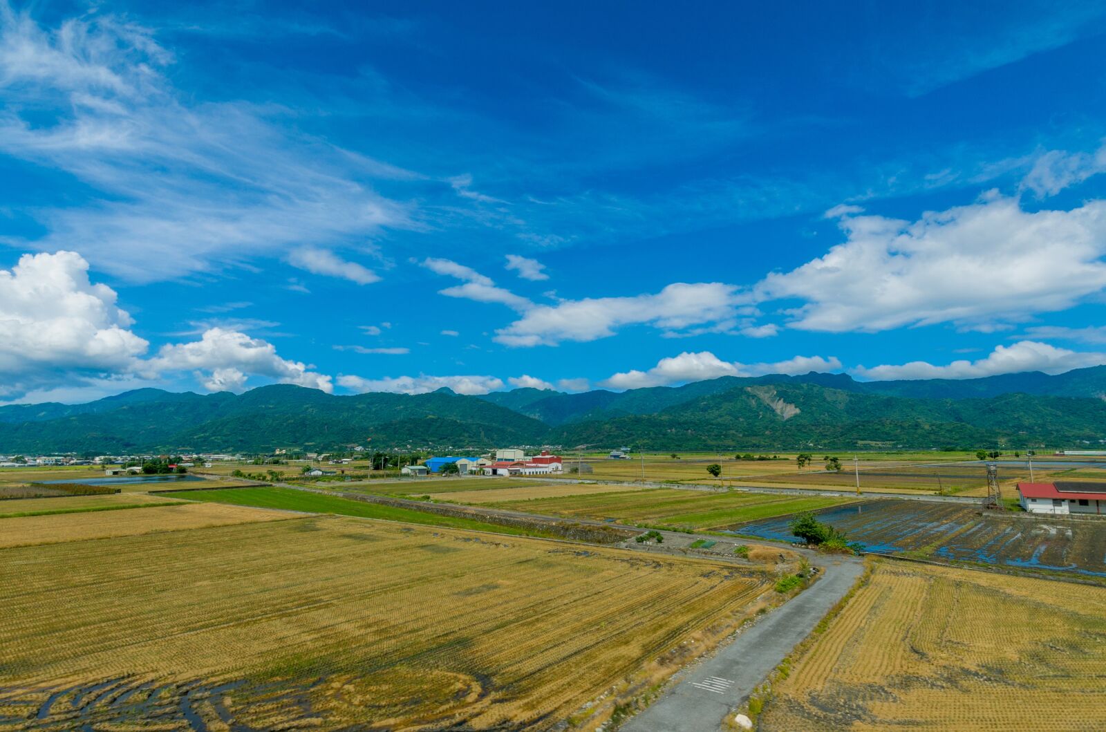 Tokina AT-X 11-20mm F2.8 PRO DX sample photo. Sky, harvesting the rice photography