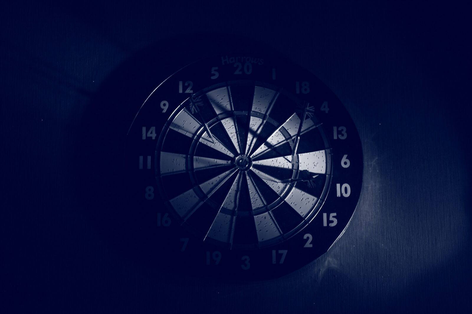 Canon EOS 500D (EOS Rebel T1i / EOS Kiss X3) sample photo. Dart, darts, the success photography