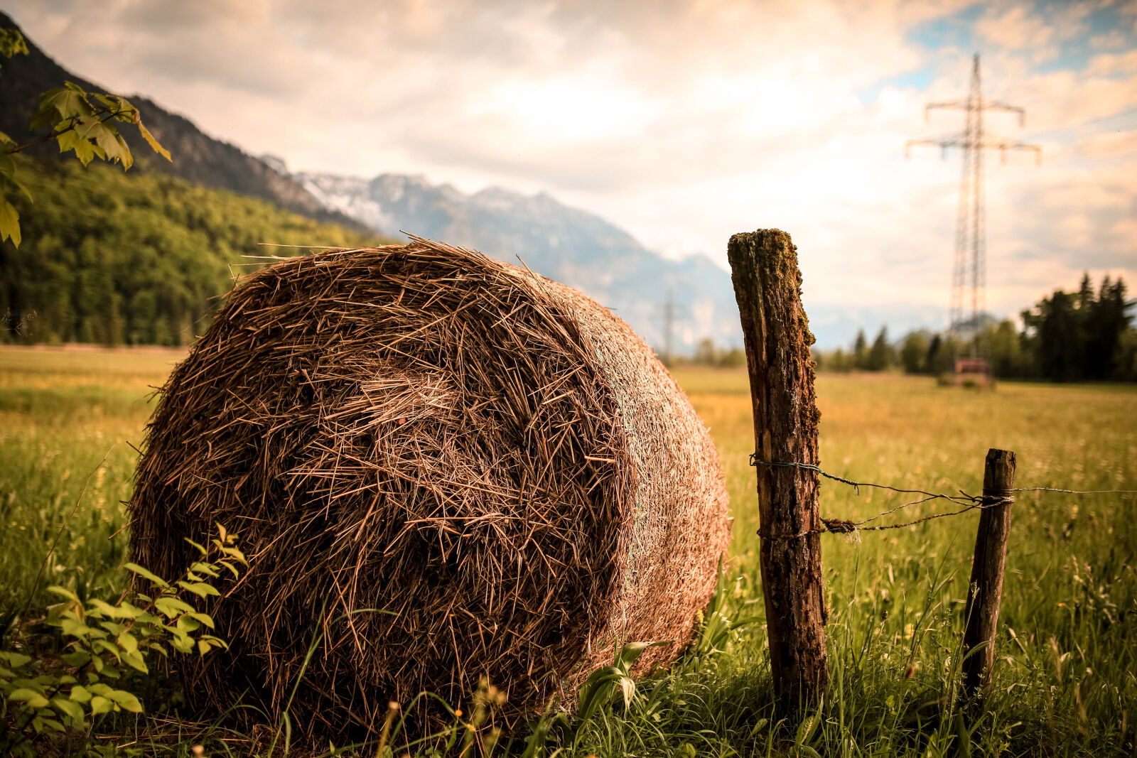 Sigma 35mm F1.4 DG HSM Art sample photo. Agriculture, country, countryside, fall photography