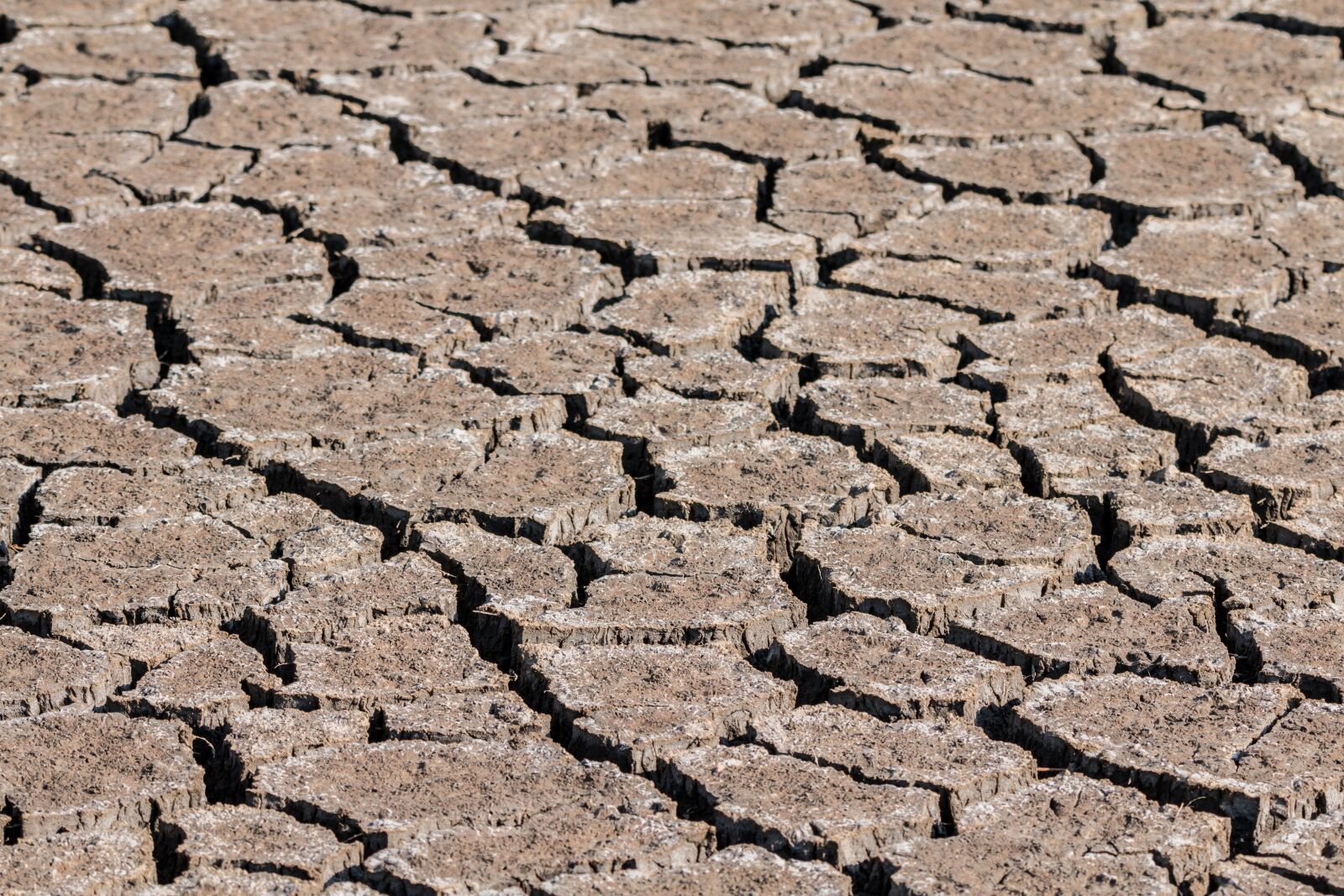 150-600mm F5-6.3 DG OS HSM | Contemporary 015 sample photo. Drought, ground, cracks photography