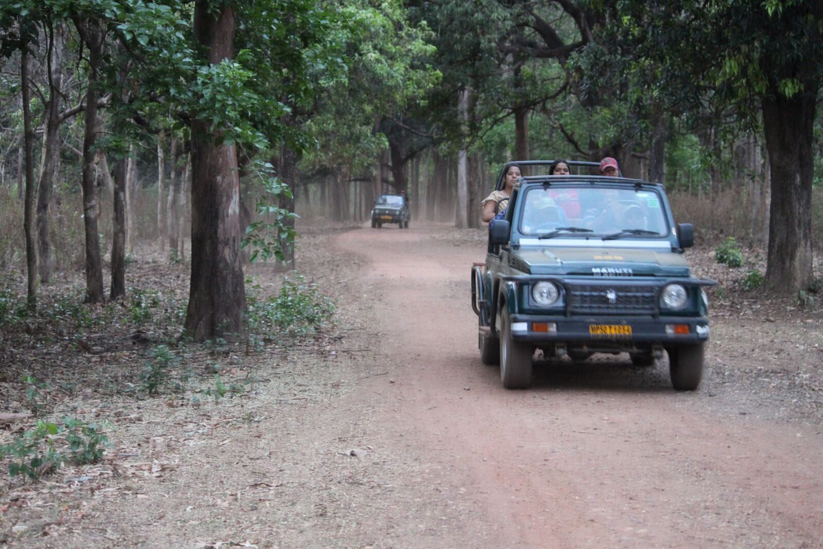 Canon EOS 1300D (EOS Rebel T6 / EOS Kiss X80) sample photo. Open jungle safari, kanha photography