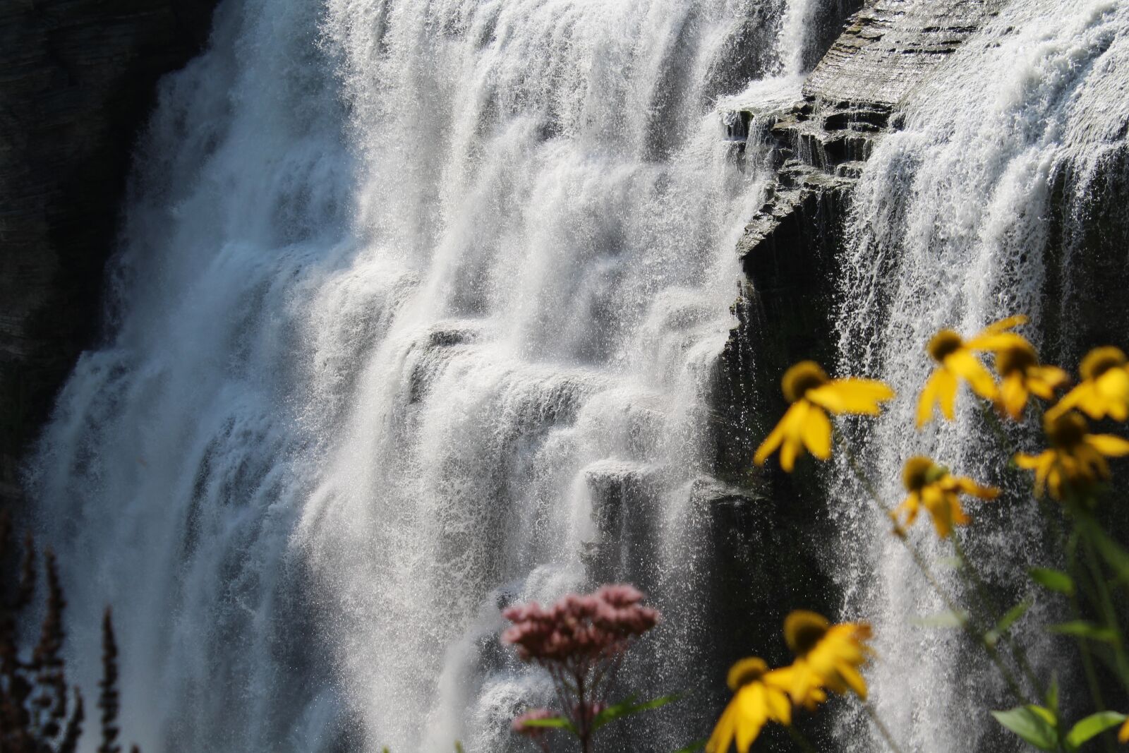 Canon EOS 1200D (EOS Rebel T5 / EOS Kiss X70 / EOS Hi) sample photo. Waterfall, nature, flowers photography