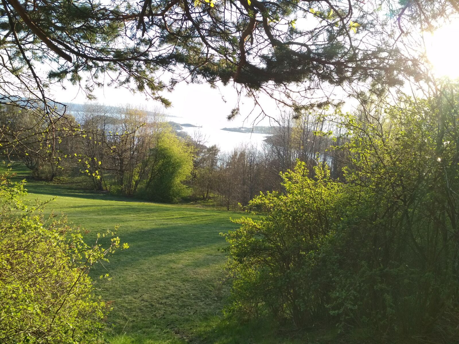 Xiaomi Redmi 4X sample photo. Norway, oslo, ekeberg park photography