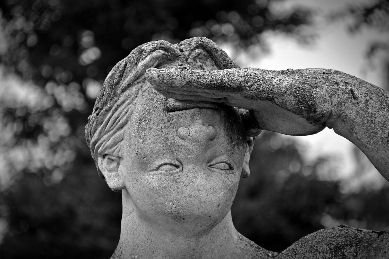 Nikon D5200 sample photo. Statue, face, wrong photography