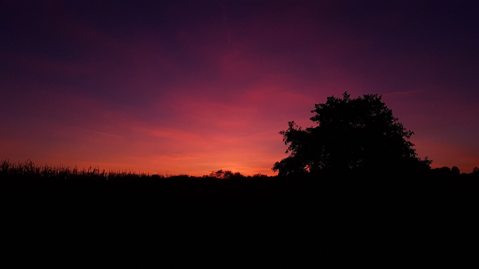 Samsung Galaxy S7 Edge sample photo. Sunset, evening, beautiful photography