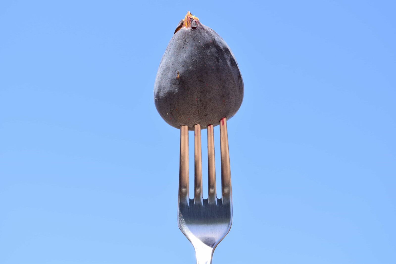 Nikon D3300 sample photo. Fork, metal, fig, fruit photography