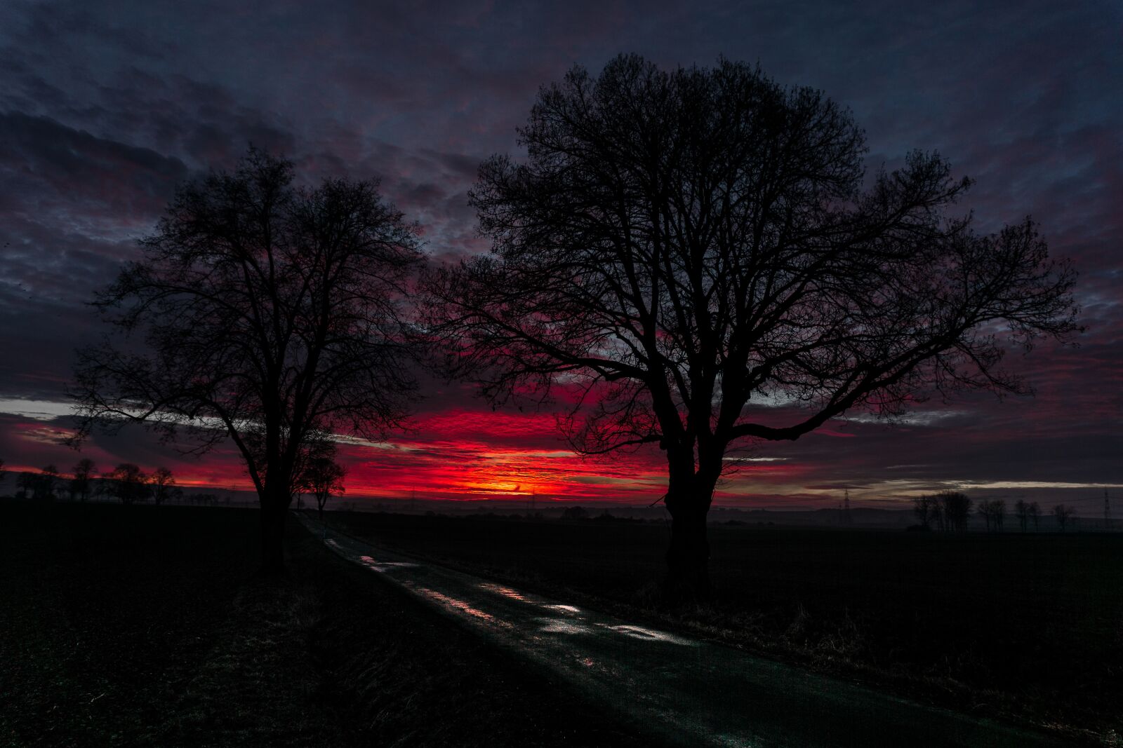 Sony a6000 sample photo. Trees, road, sunset photography