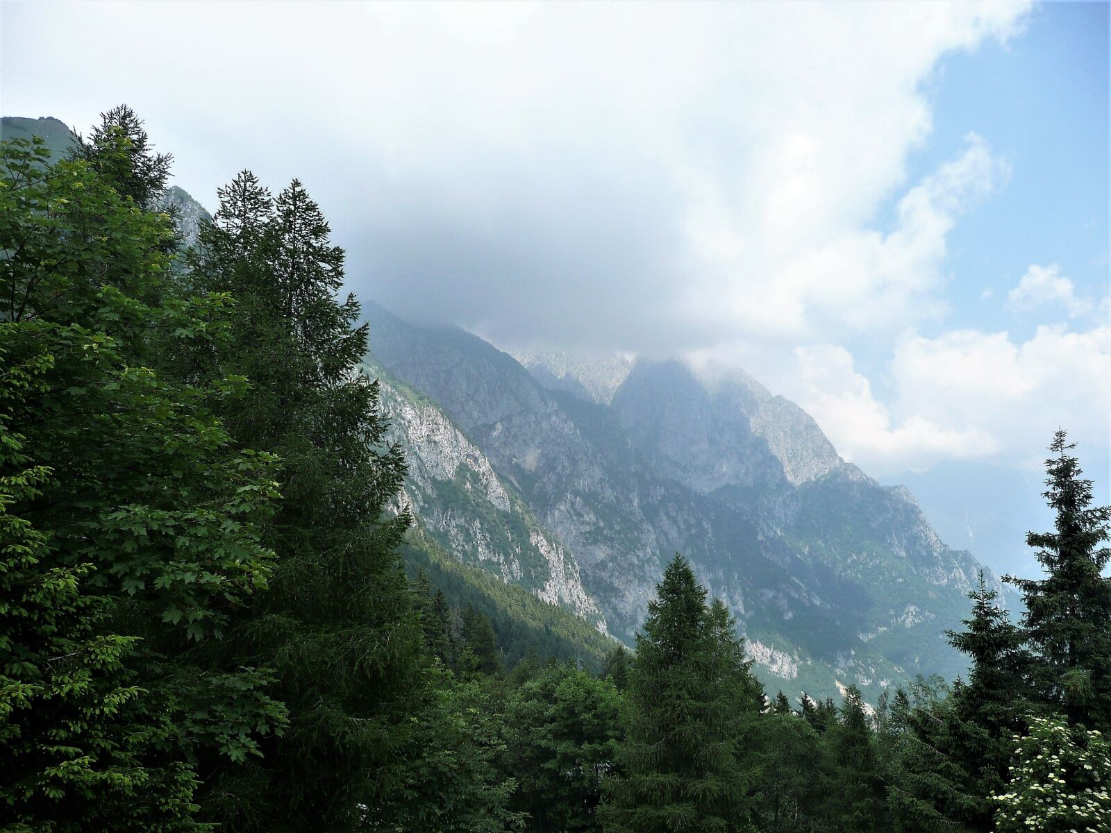 Panasonic DMC-TZ3 sample photo. Nature, wood, mountain photography