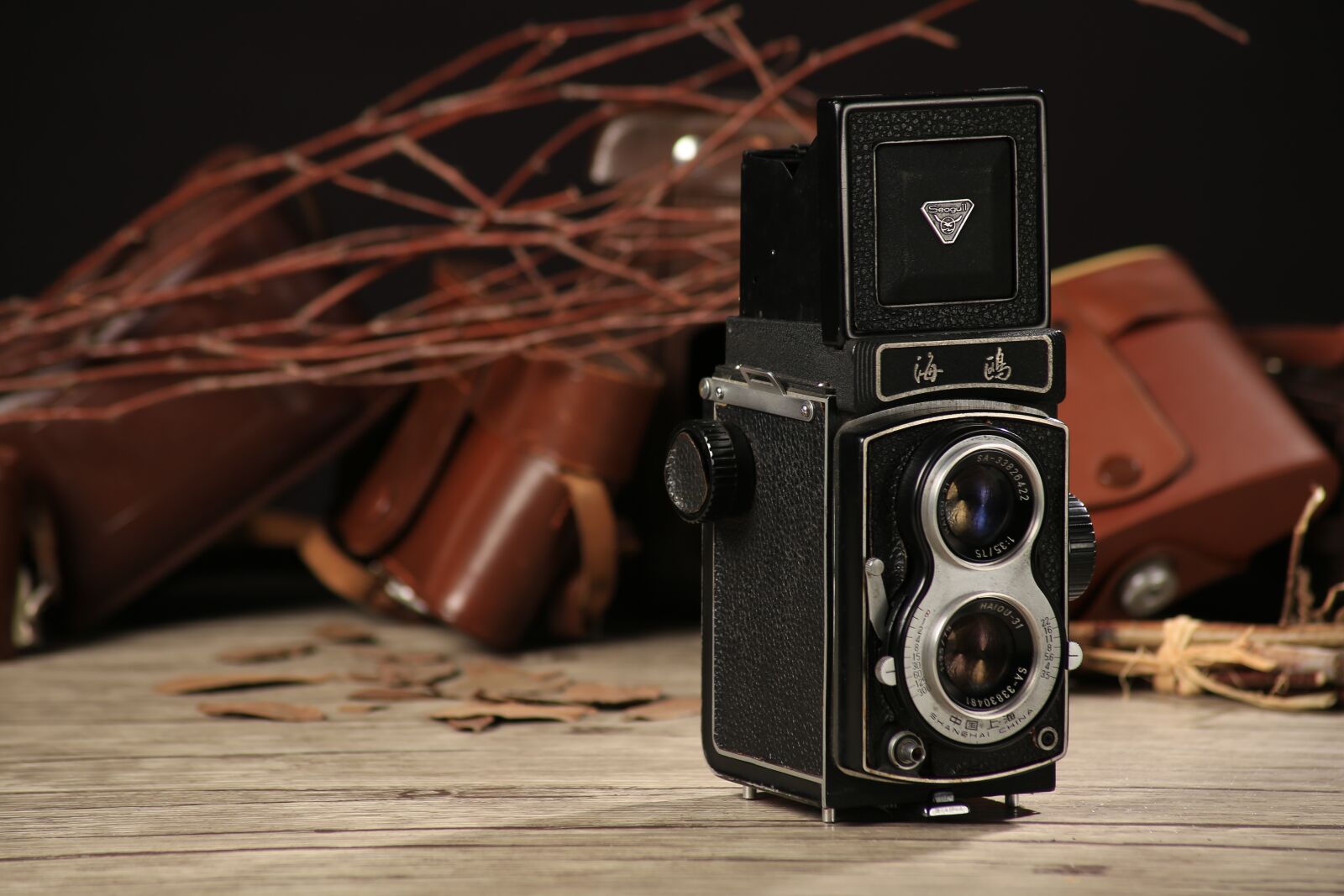 Canon EOS 6D sample photo. Twin-lens reflex camera, us photography