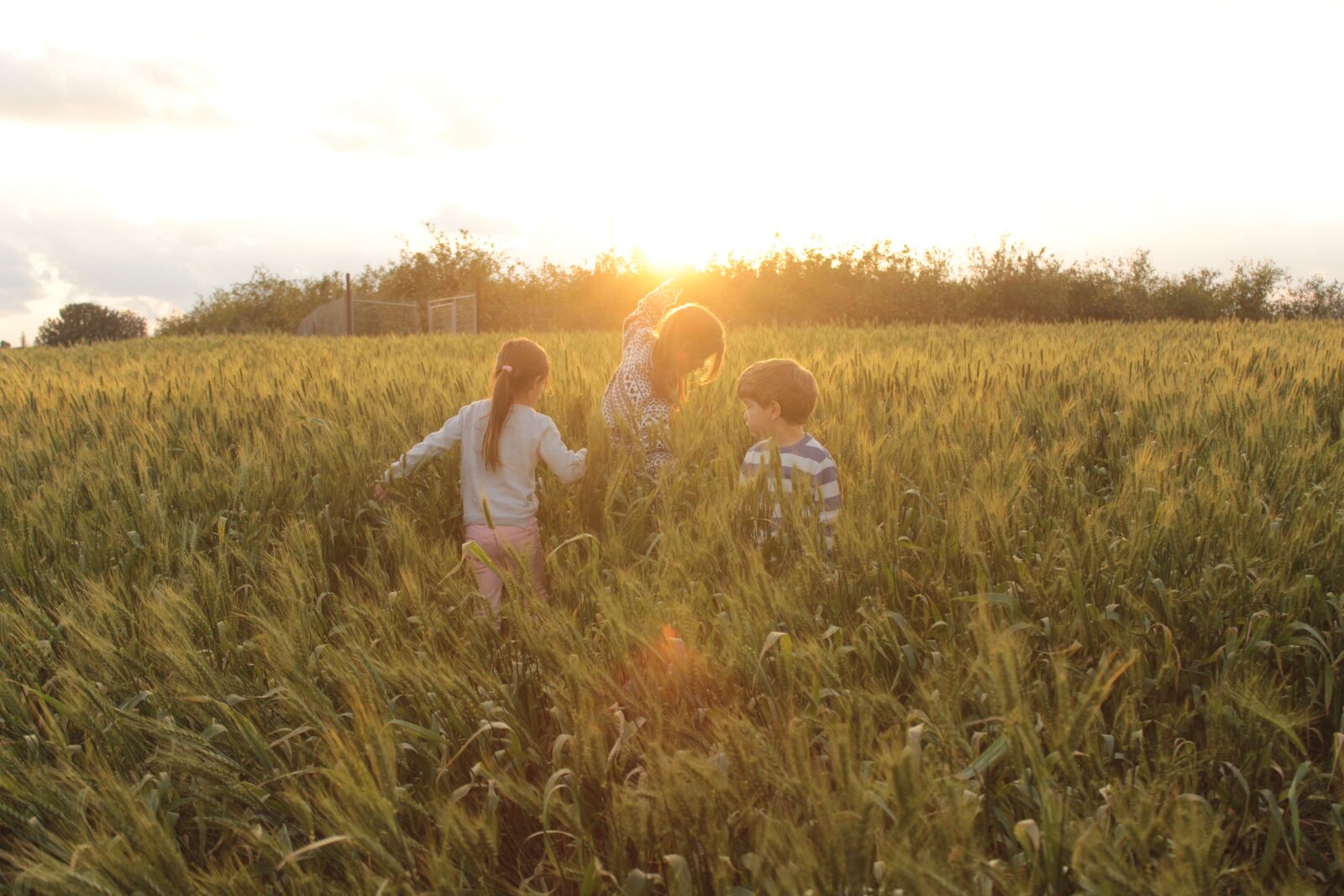 Canon EOS 600D (Rebel EOS T3i / EOS Kiss X5) sample photo. Nature, children, sunset photography