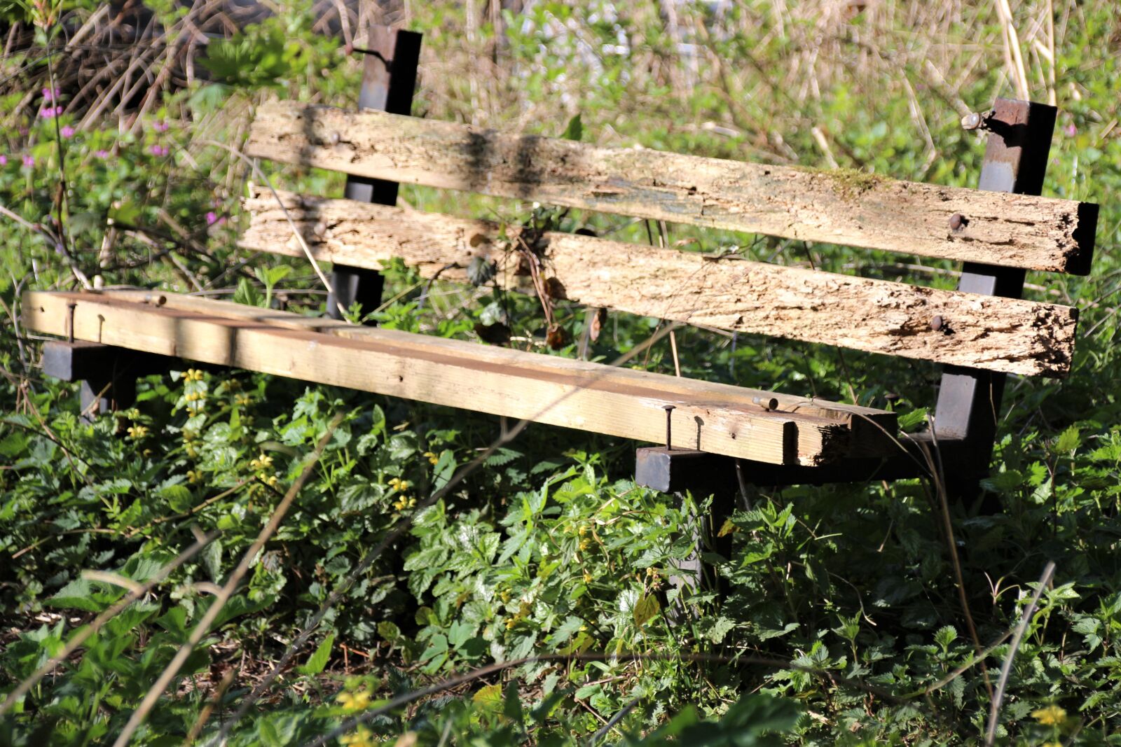 Canon EOS 700D (EOS Rebel T5i / EOS Kiss X7i) sample photo. Bank, old, bench photography