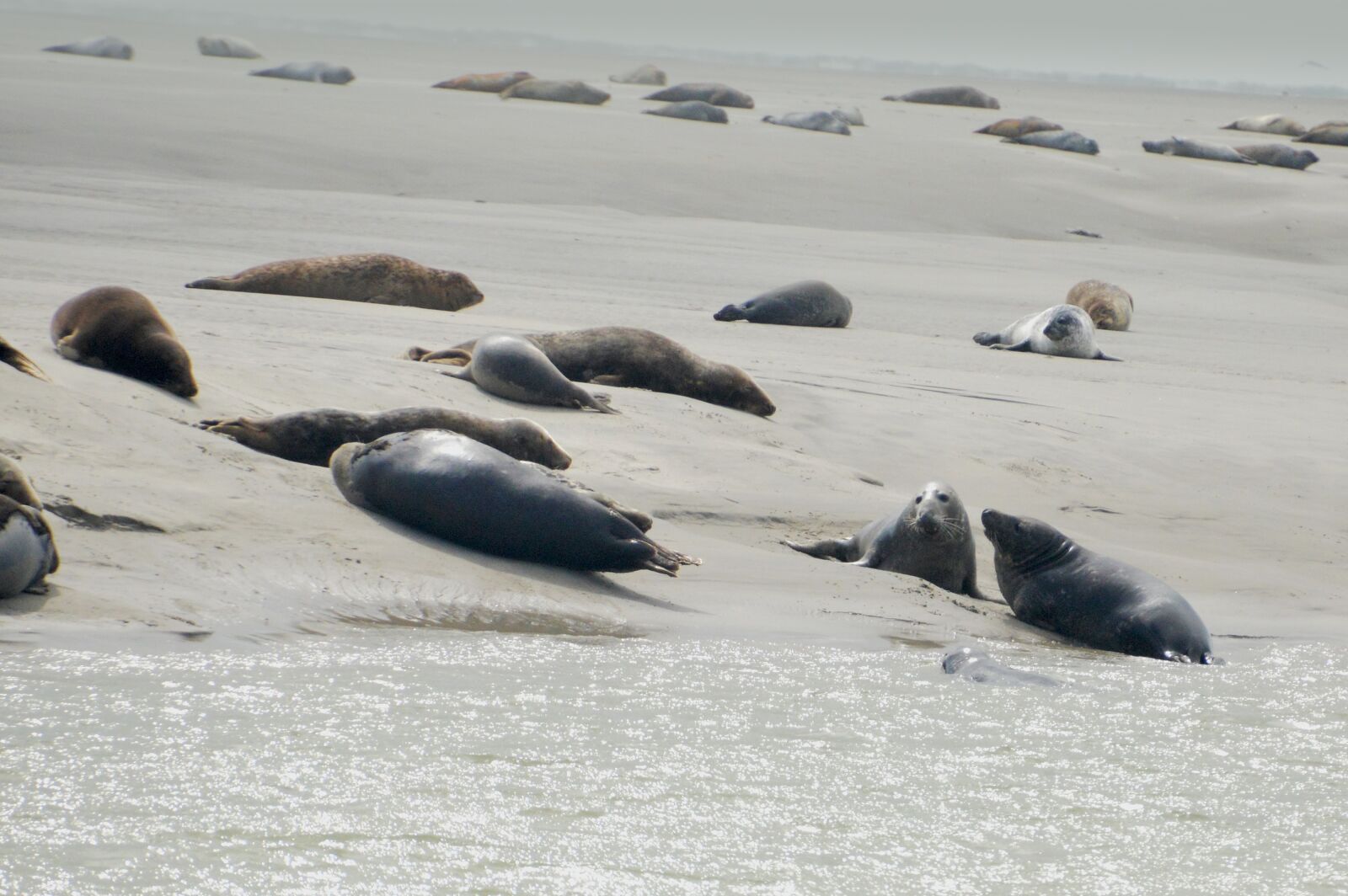 Nikon D3200 sample photo. Sea, beach, berck photography