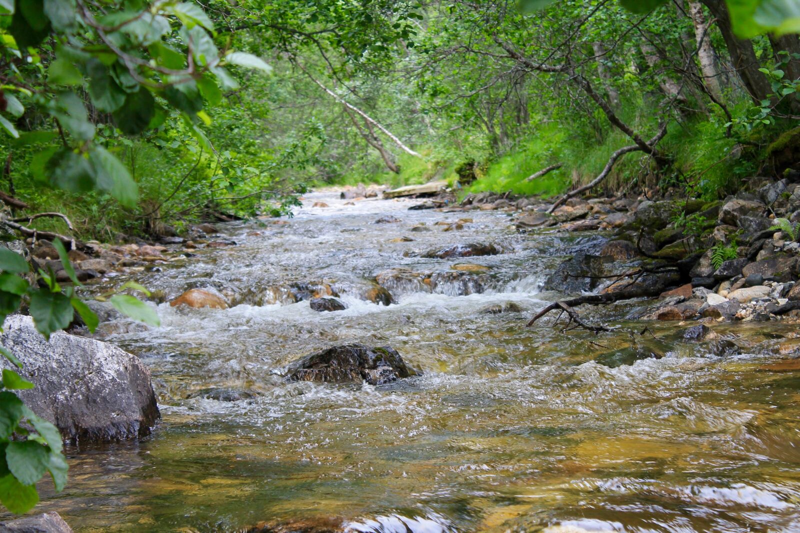 Canon EOS 1100D (EOS Rebel T3 / EOS Kiss X50) sample photo. Water bodies, nature photography
