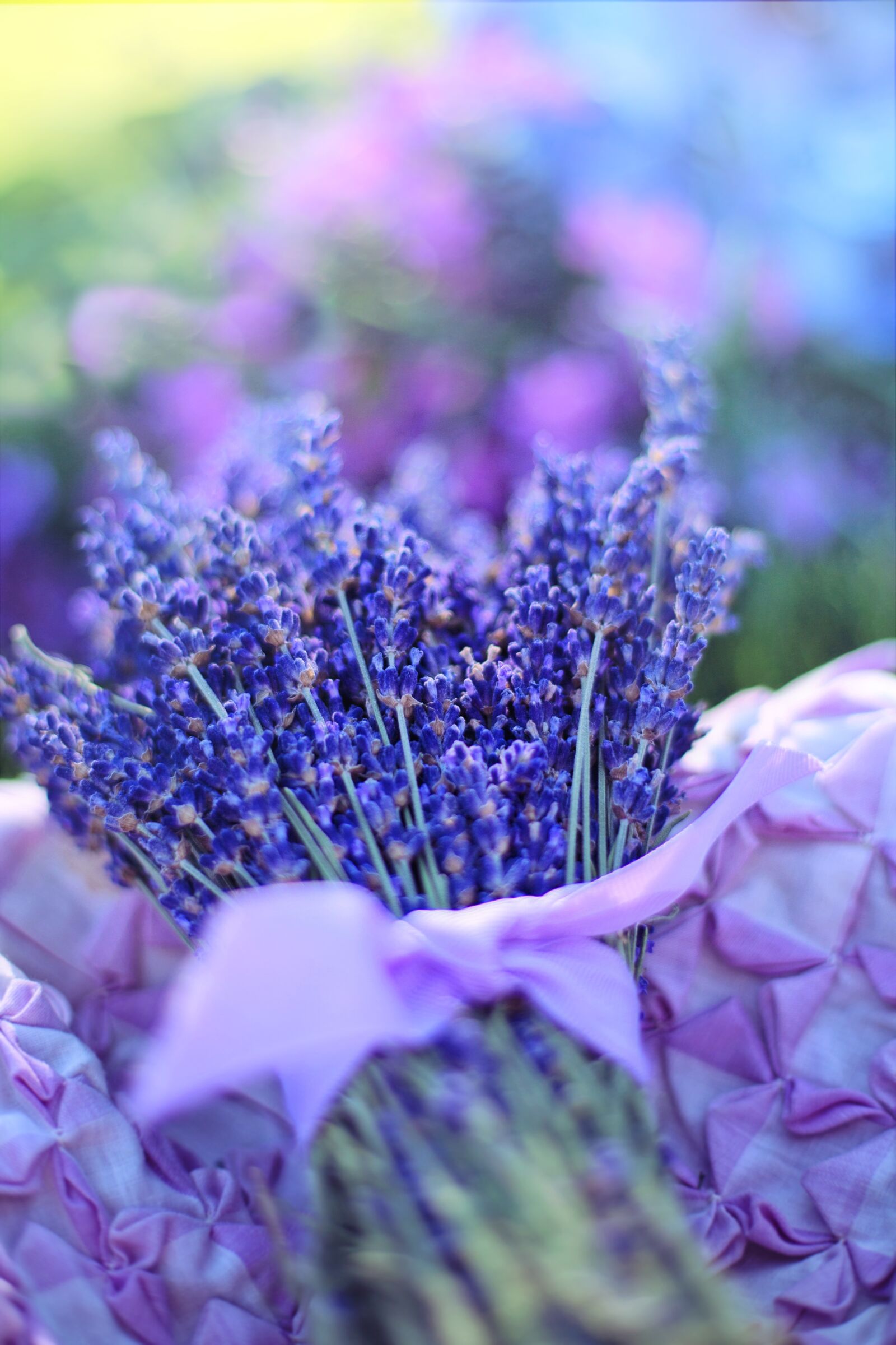 Canon EF 50mm F1.4 USM sample photo. Lavender, fresh, flowers photography