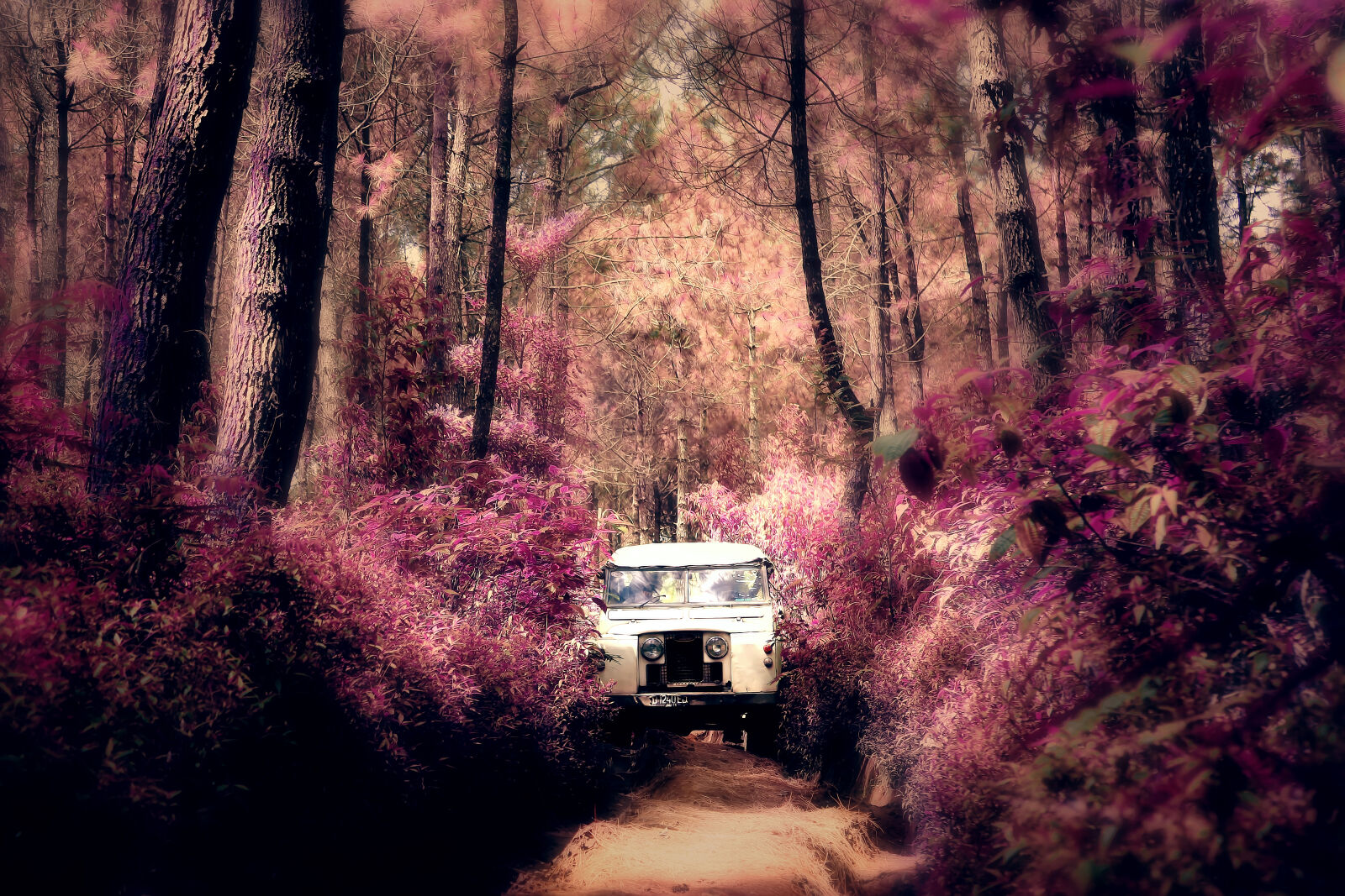 Canon EF-S 18-55mm F3.5-5.6 IS sample photo. Adventure, bandung, cikole, defender photography