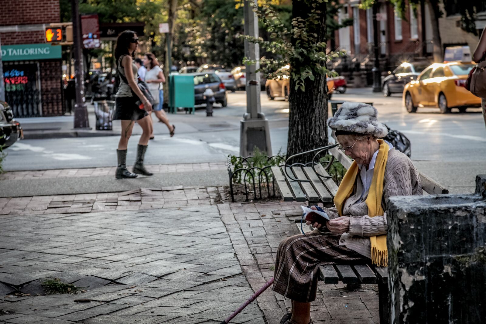 Canon EOS 5D Mark II sample photo. Park bench, new york photography