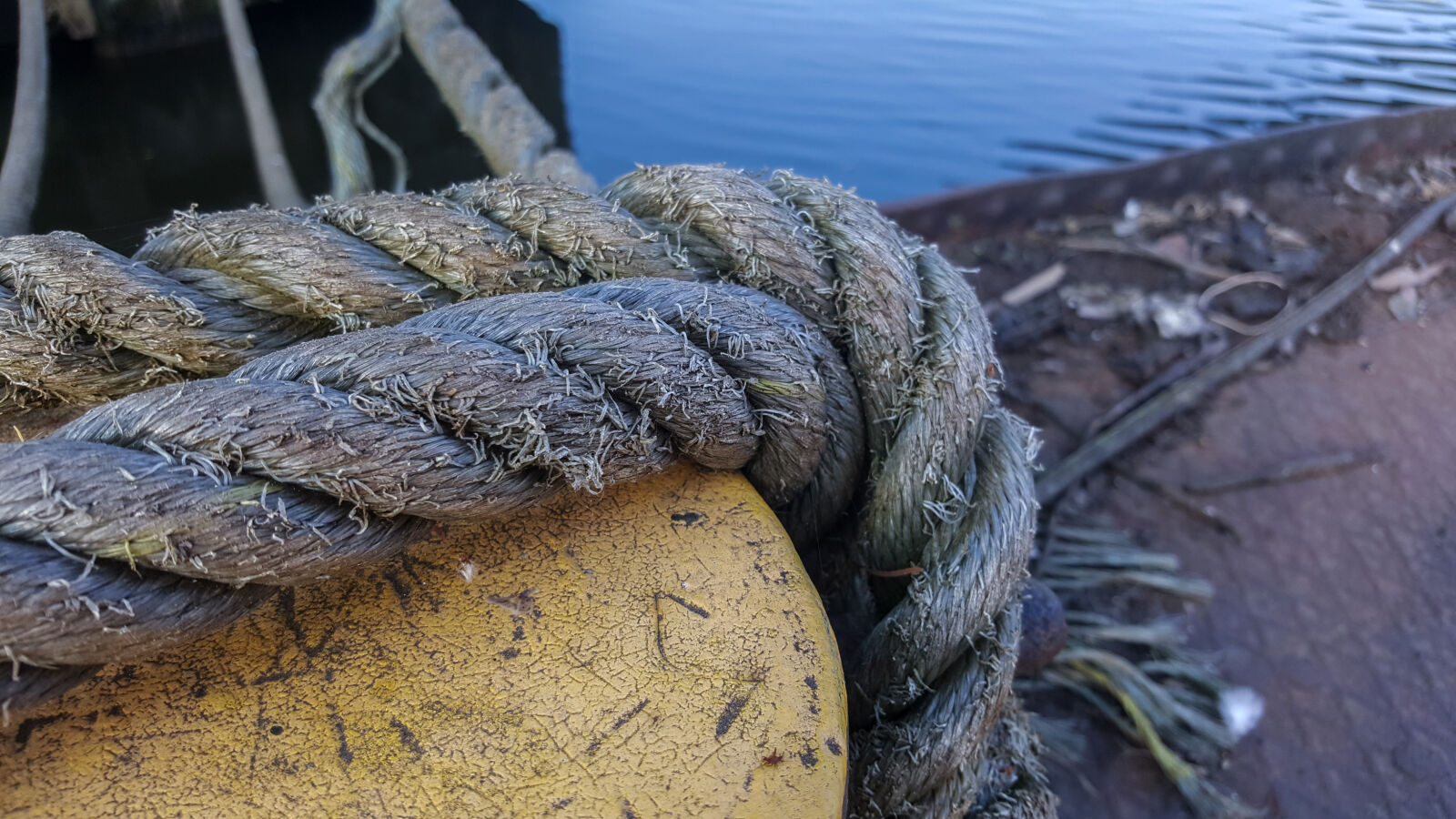 Samsung Galaxy S6 sample photo