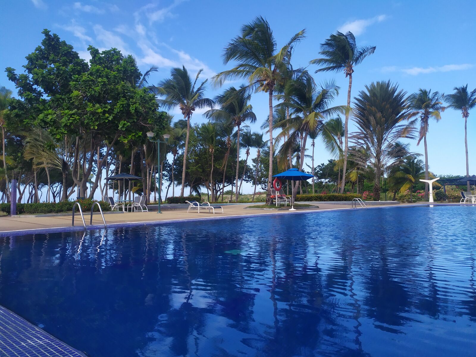Xiaomi Redmi Note 7 sample photo. Pool, palmas, holiday photography