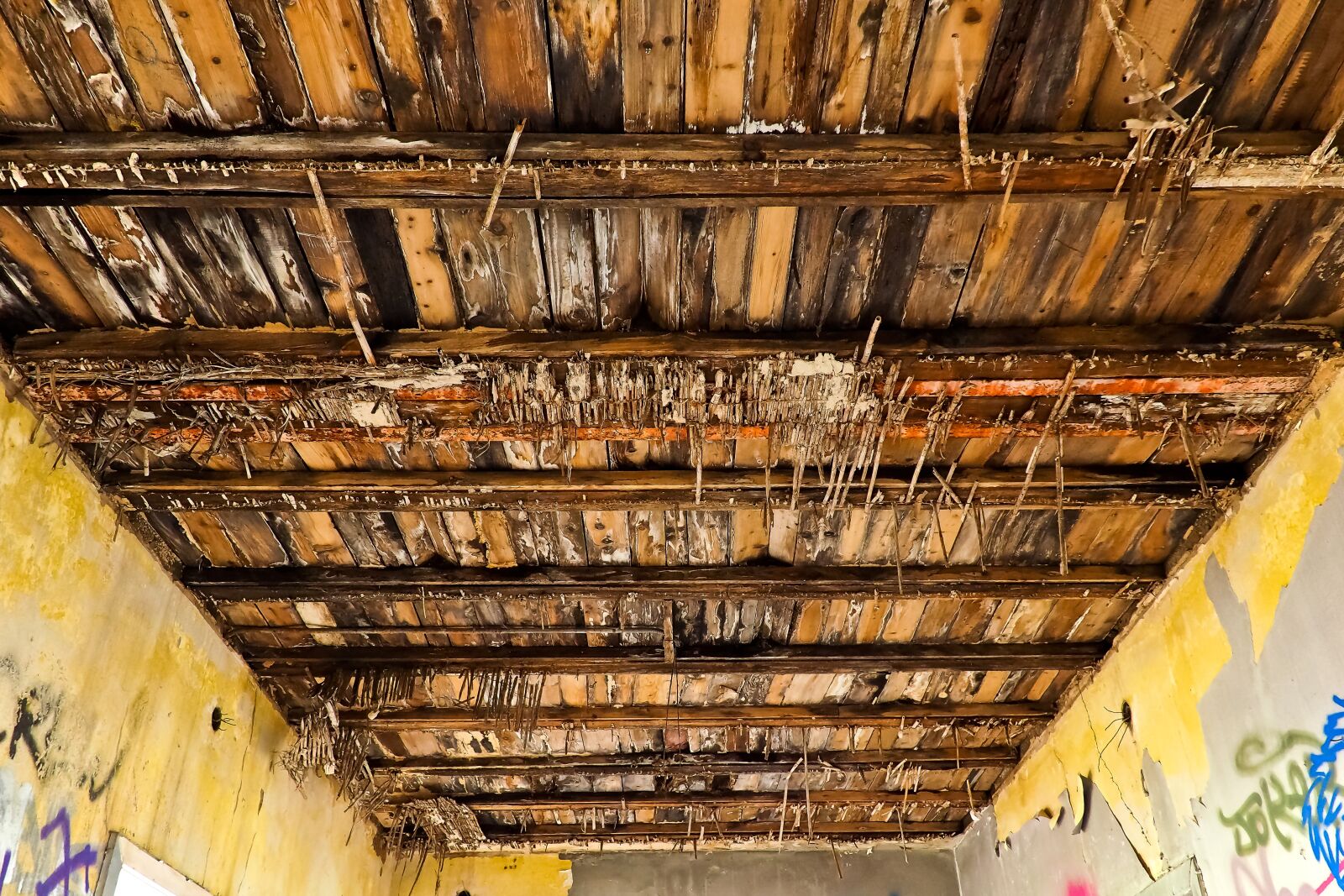 Olympus OM-D E-M10 sample photo. Lost places, old, decay photography