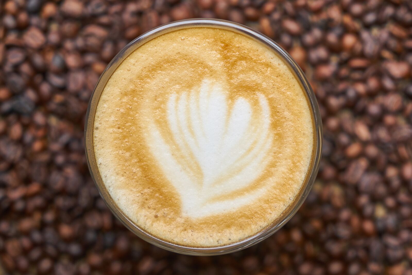 Sony a7R II sample photo. Coffee, core, caffeine photography