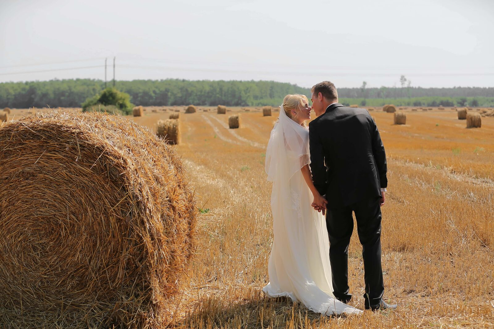 Canon EOS 5D Mark III sample photo. Wheatfield, hay field, barley photography