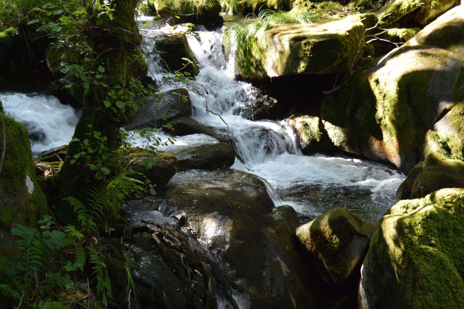 Nikon D3200 sample photo. River, waterfall, nature photography