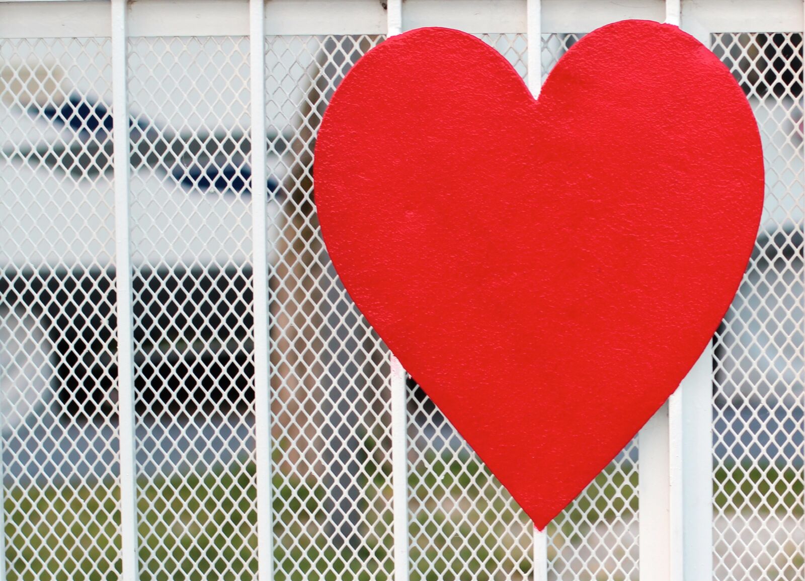 Canon EOS 600D (Rebel EOS T3i / EOS Kiss X5) + Canon EF 50mm F1.4 USM sample photo. Heart, red, love photography